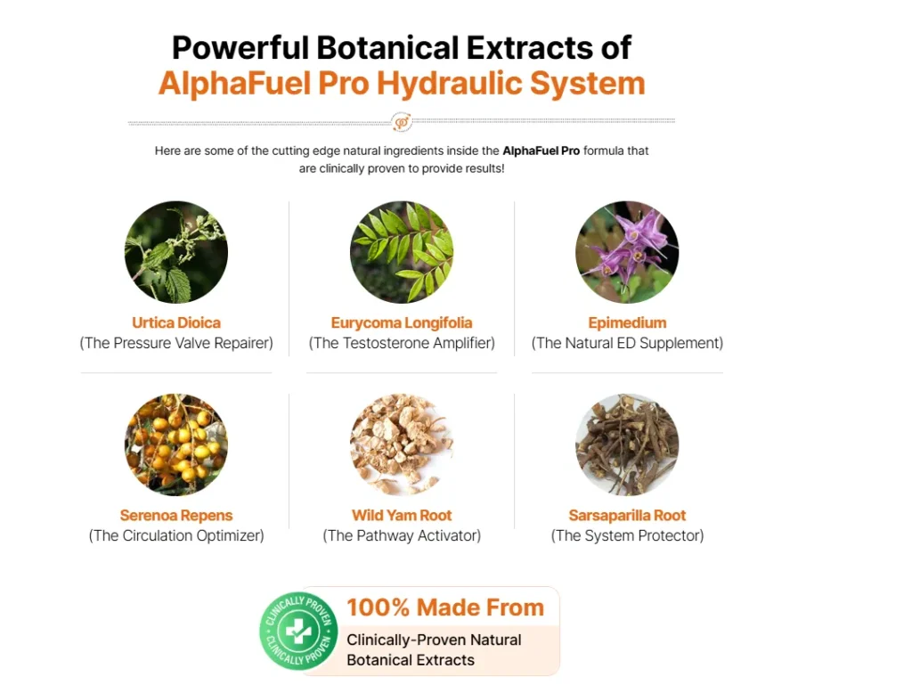 alpha fuel ingredients